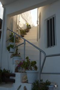 Fotografia z galérie ubytovania Komissa΄s Beach House v destinácii Agia Pelagia