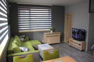 TV a/nebo společenská místnost v ubytování Apartments Severka