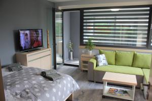 ein Wohnzimmer mit einem Sofa und einem TV in der Unterkunft Apartments Severka in Prag