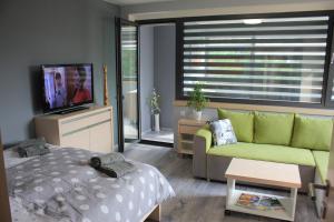 TV a/nebo společenská místnost v ubytování Apartments Severka