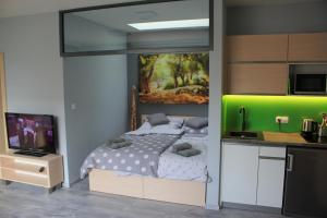 Kuchyň nebo kuchyňský kout v ubytování Apartments Severka