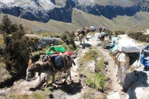 Afbeelding uit fotogalerij van Vacahouse Hostels B&B in Huaraz