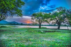 Paesaggio naturale nelle vicinanze del lodge