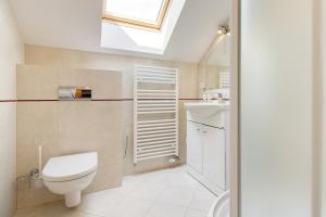 bagno con servizi igienici, lavandino e lucernario. di Apartmány na Farmě a Kurdějov Altre 37 foto