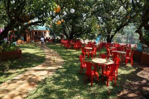 Giardino di Shree Ramkrishna Anandvan