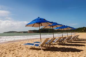 a row of chairs and umbrellas on a beach at Hotel Ponta do Madeiro in Pipa