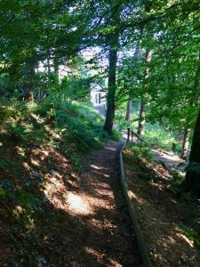 a path in the woods with trees and a house at Little Woodacott in Barnstaple