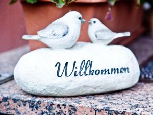 dos pájaros blancos sentados sobre una roca en Haus Keller Ferienwohnungen en Todtnauberg