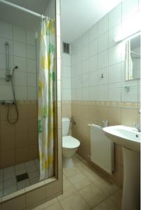 a bathroom with a shower and a toilet and a sink at Ośrodek Wypoczynkowy Helena in Zakopane