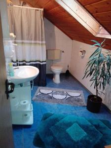 a bathroom with a sink and a toilet and a shower at Ferienwohnung Dichtl in Grafenau