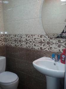 luiza في باتومي: حمام مع مرحاض ومغسلة ومرآة