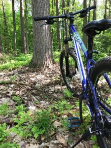 a blue bike parked next to a tree in the woods at Dom Wakacyjny - Siedlisko Gutowo in Lidzbark +44 photos