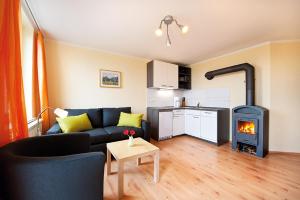 a living room with a couch and a stove at Panorama-Apartments Weinberghaus in Mittelndorf