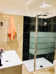 a bathroom with a shower and a sink at Apartment 3 Pieces in Cannes