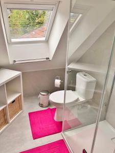 a bathroom with a toilet and a skylight at The Little Houses - Malmedy - in Malmedy