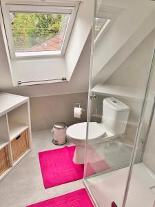 a bathroom with a toilet and a skylight at The Little Houses - Malmedy - in Malmedy +37 photos