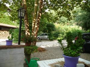 Zahrada ubytování B&B Selisa