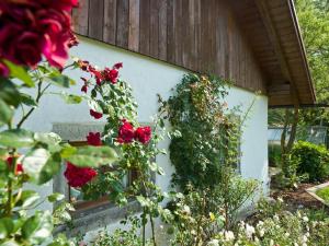un mur recouvert de roses rouges dans l'établissement Ferienhof "Schoppa-Haisl", à Sonnen