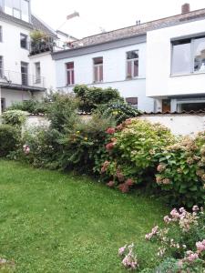 Zahrada ubytování Altstadt Bonn mit eigenem Parkplatz und Garten