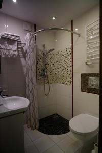 a bathroom with a shower and a toilet and a sink at Apartamenty Wygoda Białystok in Białystok