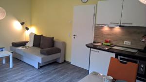 Kuchyň nebo kuchyňský kout v ubytování Ferienwohnung "Schonzeit"