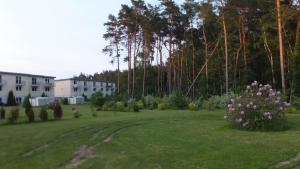 Zahrada ubytování Ferienwohnung "Schonzeit"
