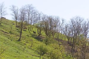 Paesaggio naturale nelle vicinanze dell'agriturismo