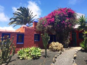 Vonkajšia záhrada v ubytovaní Casa Panama,in der Finca Mimosa