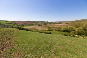 Paesaggio naturale nelle vicinanze dell'agriturismo