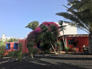 Vonkajšia záhrada v ubytovaní Casa Panama,in der Finca Mimosa