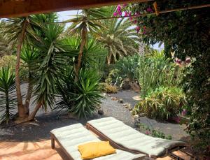 Vonkajšia záhrada v ubytovaní Casa Panama,in der Finca Mimosa + 25 fotografií