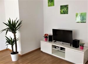 una sala de estar con TV en un armario blanco en BodenSEE Apartment Allensbach FEWO 2, en Allensbach