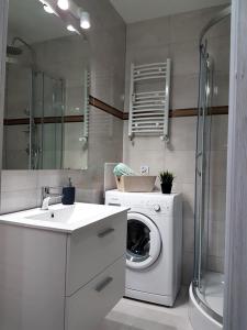 uma casa de banho com uma máquina de lavar roupa e um lavatório em Sleep4you, Zielona Góra em Zielona Góra