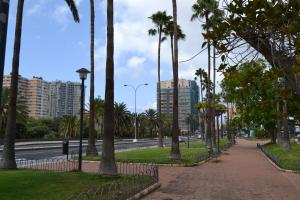 a park with palm trees and a road at MAGNIFICO Penthouse LAS PALMAS in Las Palmas de Gran Canaria