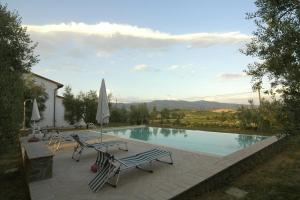 a pool with chairs and umbrellas on a patio at Agriturismo Spazzavento in Vinci