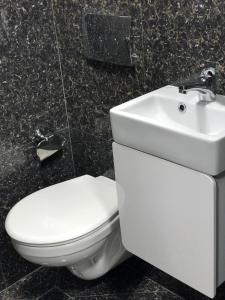 uma casa de banho com um WC branco e um lavatório. em Cosy House em Sófia