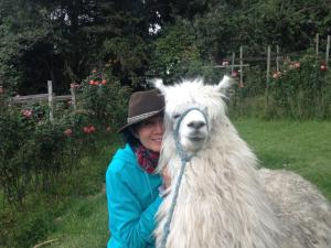 Animale la sau în apropiere de acest hotel