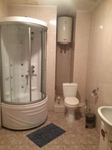 a bathroom with a shower and a toilet and a sink at Naberezhnaya in Novosibirsk