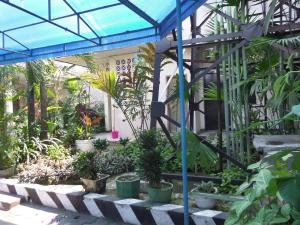 Zahrada ubytování Armi Hotel Malang