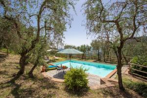a swimming pool in a yard with trees at Villa Mastiano in Mastiano