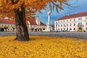 a tree in a field of yellow leaves next to a building at Apartman Aurelius - private parking in Osijek