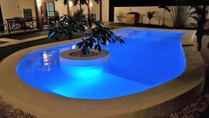 a blue swimming pool with a potted plant in the middle at Positano Alona Beach Panglao in Panglao