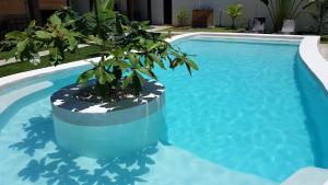a blue swimming pool with a potted plant in it at Positano Alona Beach Panglao in Panglao
