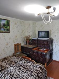 A television and/or entertainment centre at Guest House Pid Lypamy