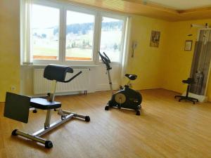 Fitness centrum a/nebo fitness zařízení v ubytování Hotel Kaltenbach