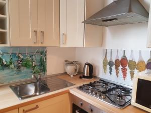 A kitchen or kitchenette at Il Salotto di via Giulia