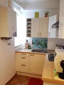 A kitchen or kitchenette at Il Salotto di via Giulia