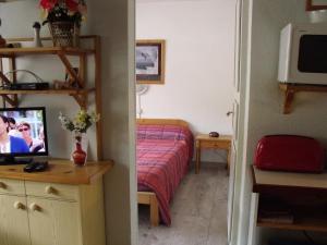 1 dormitorio con 1 cama y TV en una habitación en Appartement Val Cristal, en Font-Romeu