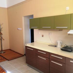 セゲドにあるSzent János Apartmanのキッチン(緑のキャビネット、カウンタートップ付)