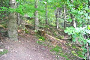 Naturlandschaft in der Nähe des Bed & Breakfasts